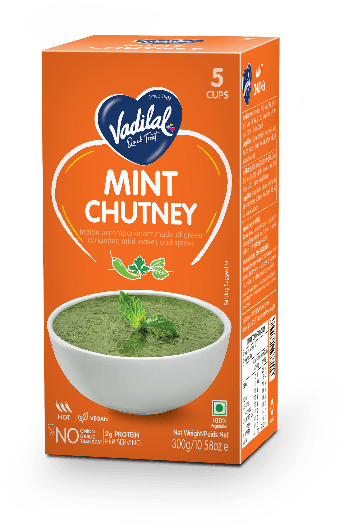Vadilal Mint Chutney 300g