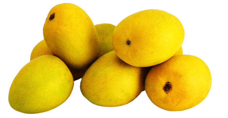Indian Mangoes Kesar Each