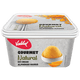 Vadilal Alphonso Mango Ice Cream 100ml*20