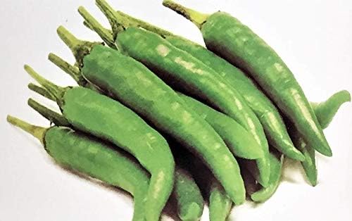 Chilli Pickle 1kg (Shan)