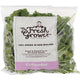 Salads Coriander F/G 100g