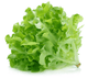 Lettuce Fancy Green Oak Bag