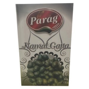Parag Kamal Gatta