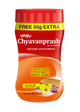 Chyawanpransh 550g (Vasu)