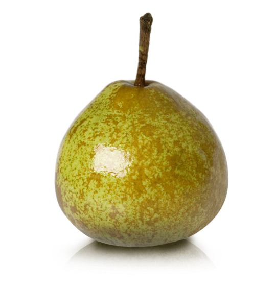 Pears Winter Nelis