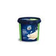 Vadilal Tender Coconut Ice Cream 100ml