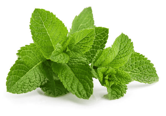Herbs Mint 200g Bag
